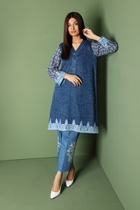 42206232-Printed Embroidered 2PC